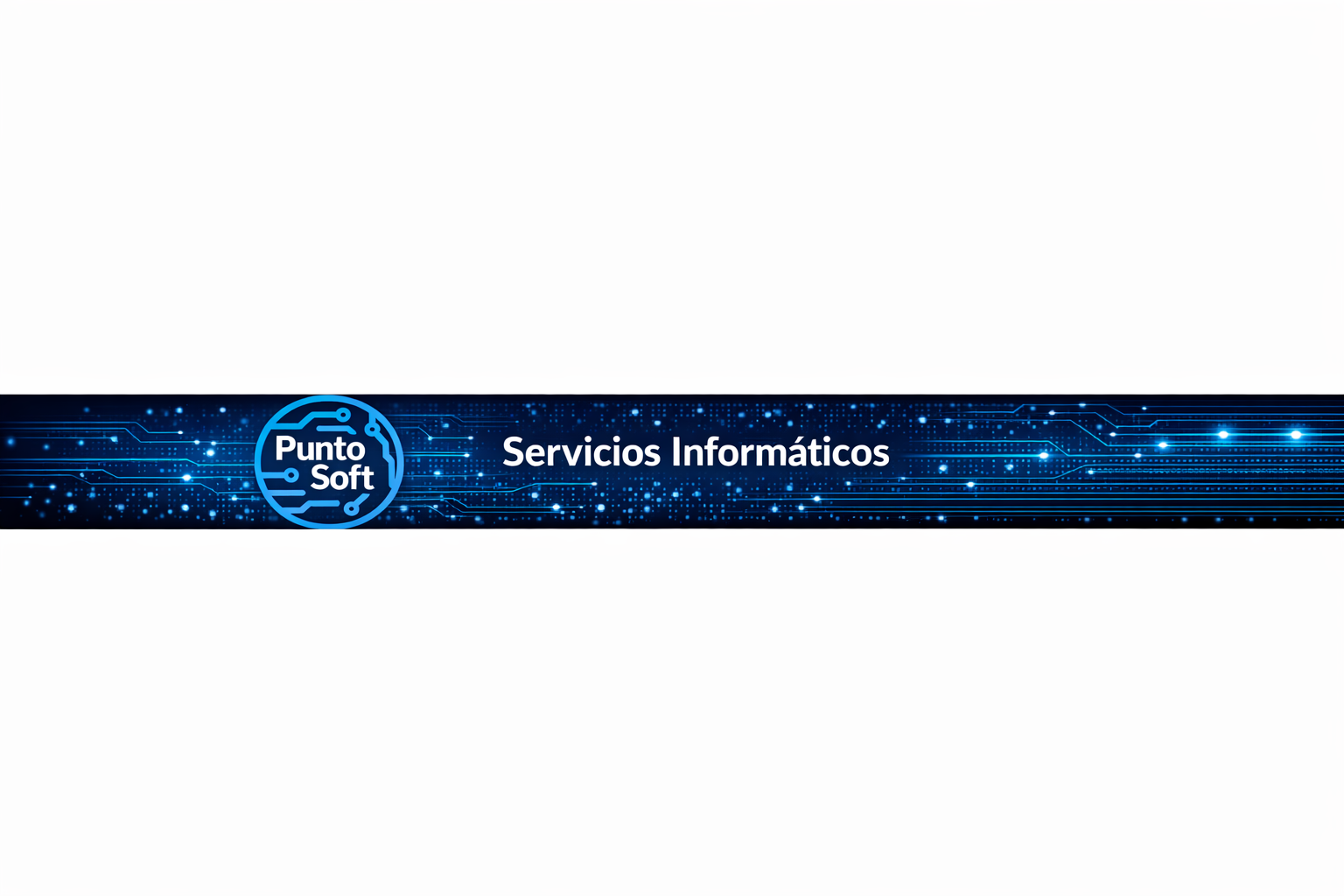 PuntoSoft banner principal